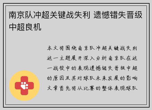 南京队冲超关键战失利 遗憾错失晋级中超良机 南京队冲超关键战失利 遗憾错失晋级中超良机